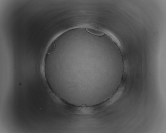 X0000102810952200808251106