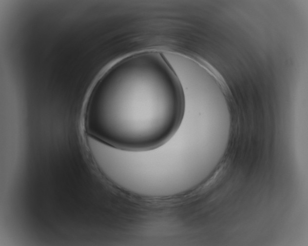 X0000102810956200808251106