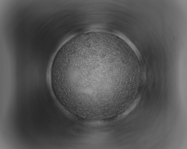 X0000102810957200808251106