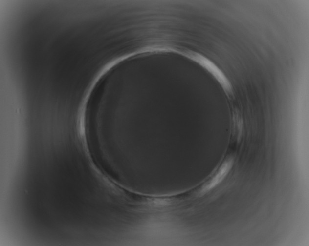 X0000102810958200808251106