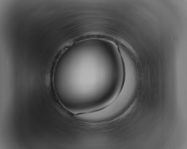 X0000102810969200808251106