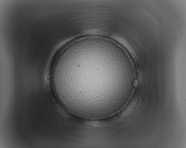 X0000102810971200808251106