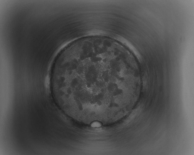 X0000102810975200808251106