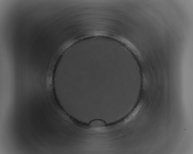 X0000102810977200808251106