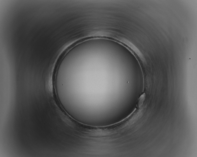 X0000102810980200808251106