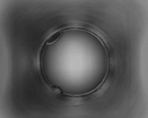 X0000102810981200808251106