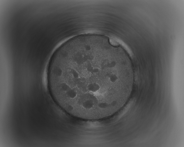 X0000102810983200808251105