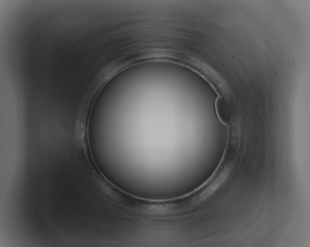 X0000102810985200808251105