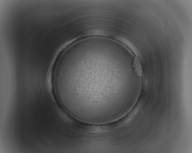 X0000102810987200808251105