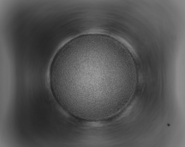 X0000102810990200808251105