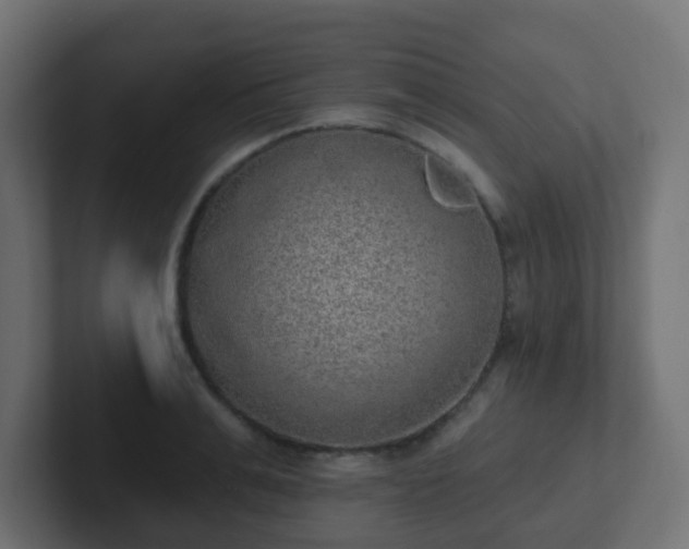 X0000102810991200808251105