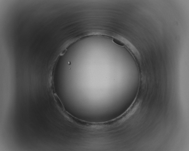 X0000102810993200808251105