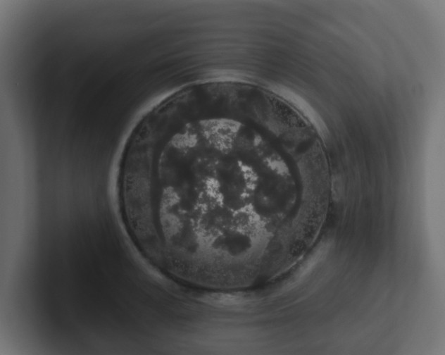 X0000102810995200808251105