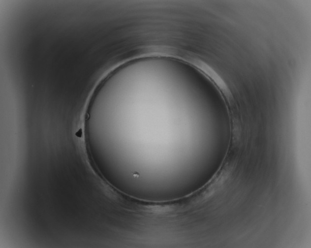 X0000102810996200808251105