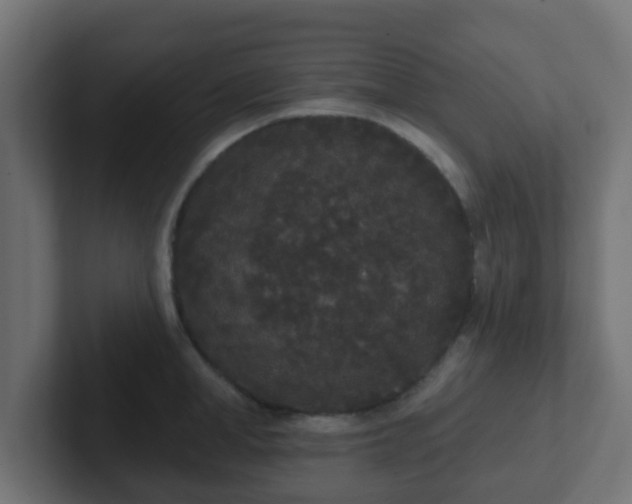 X0000102810998200808251105