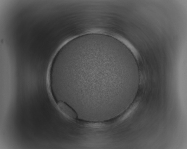 X0000102810999200808251105