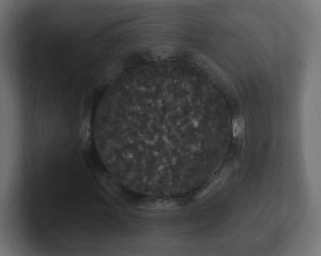 X0000102811011200808251105