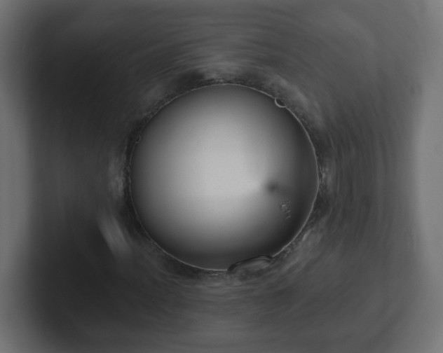 X0000102811012200808251105