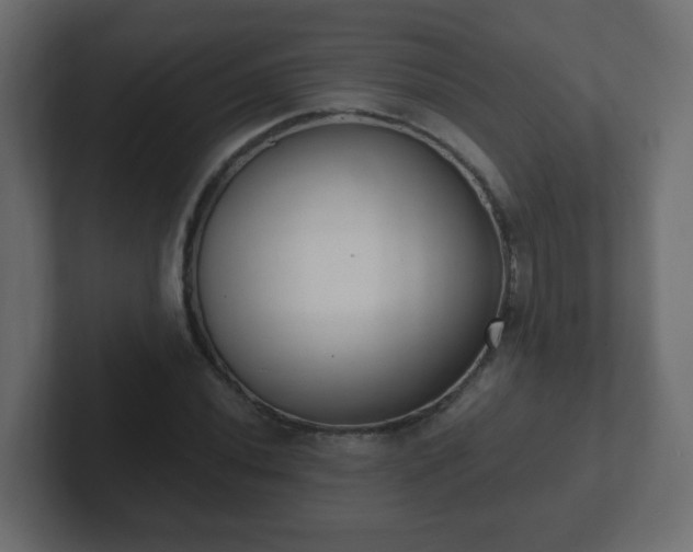 X0000102811020200808251105