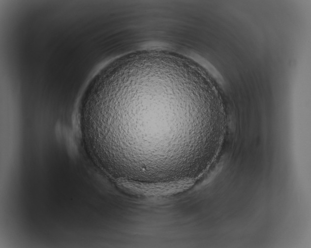 X0000102811022200808251105