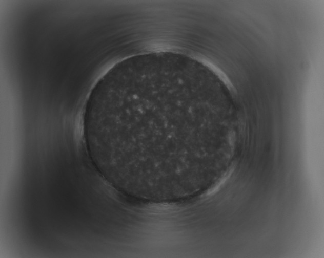 X0000102811023200808251105