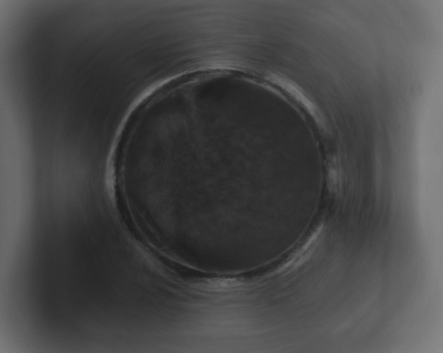 X0000102811024200808251105