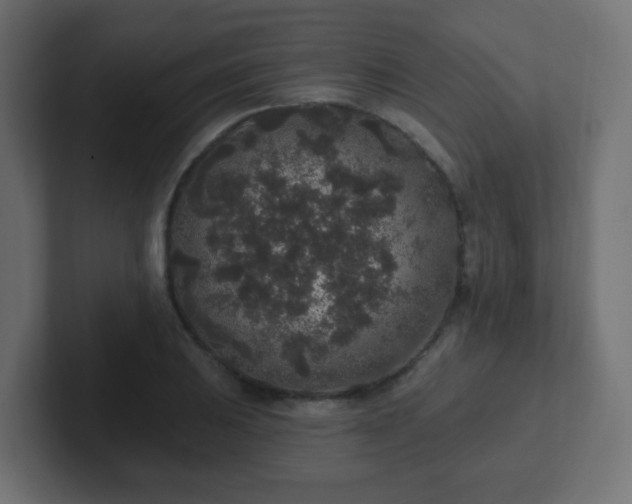 X0000102811031200808251105