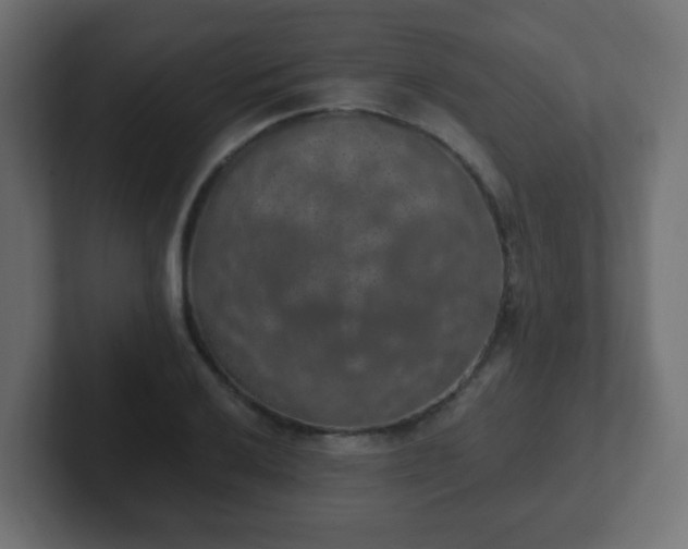 X0000102811032200808251105