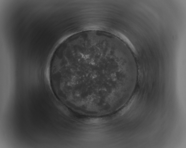 X0000102811035200808251105