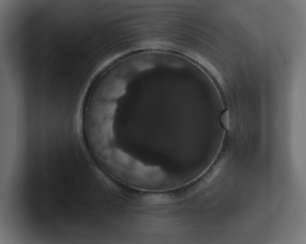 X0000102811037200808251105