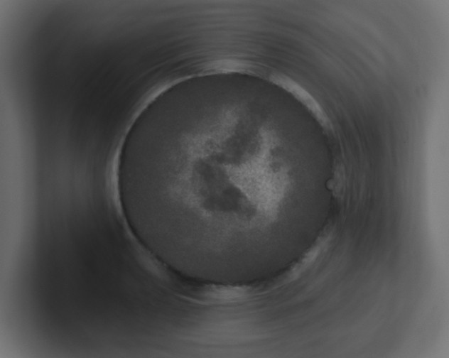 X0000102811039200808251105