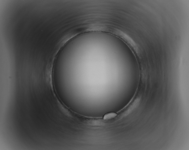 X0000102811041200808251105