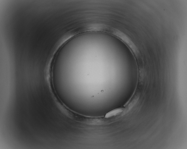 X0000102811042200808251105