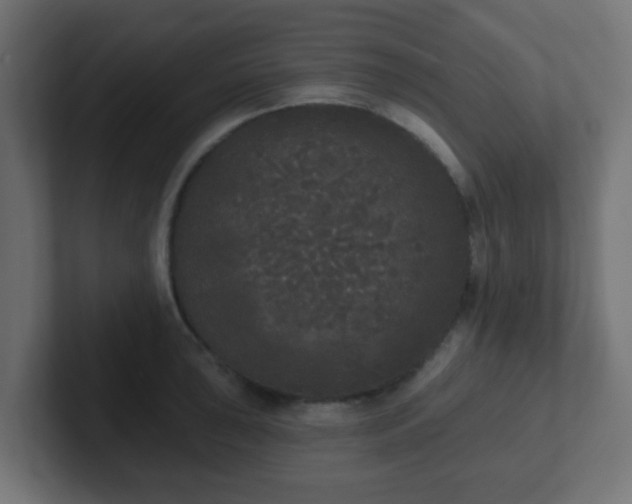 X0000102811043200808251105