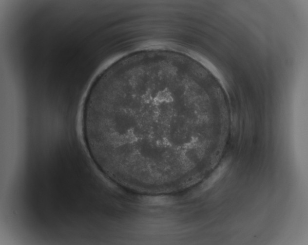 X0000102811045200808251105