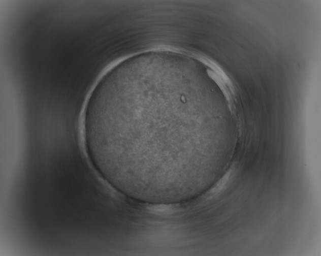 X0000102811048200808251105