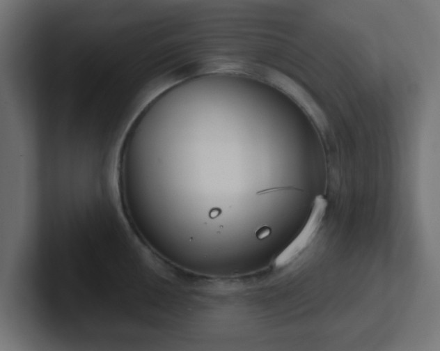 X0000102811050200808251105