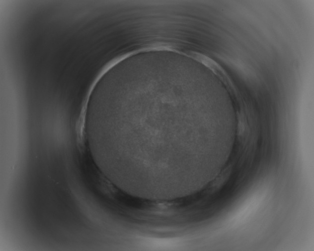 X0000102811052200808251105