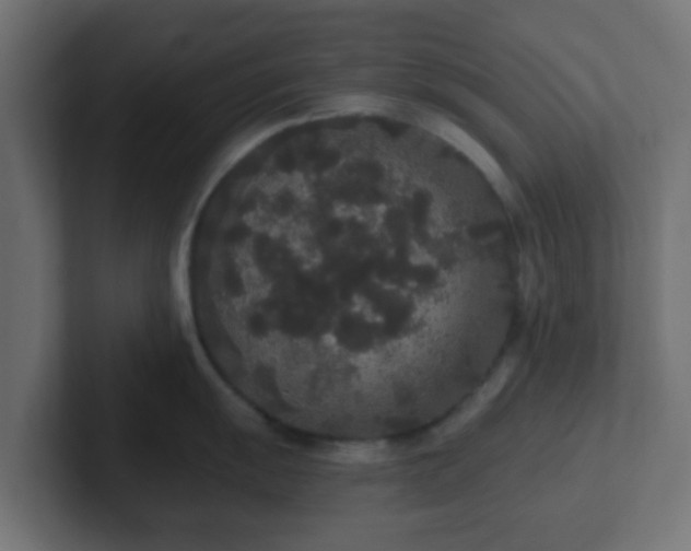 X0000102811055200808251105