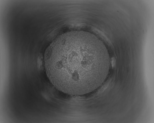 X0000102811059200808251104