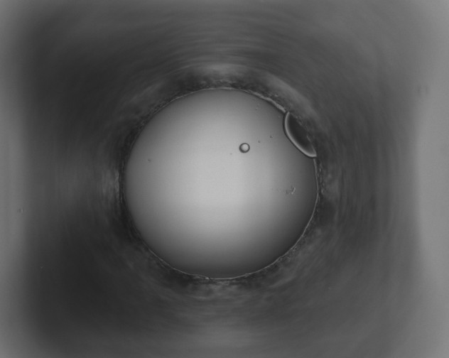 X0000102811061200808251104