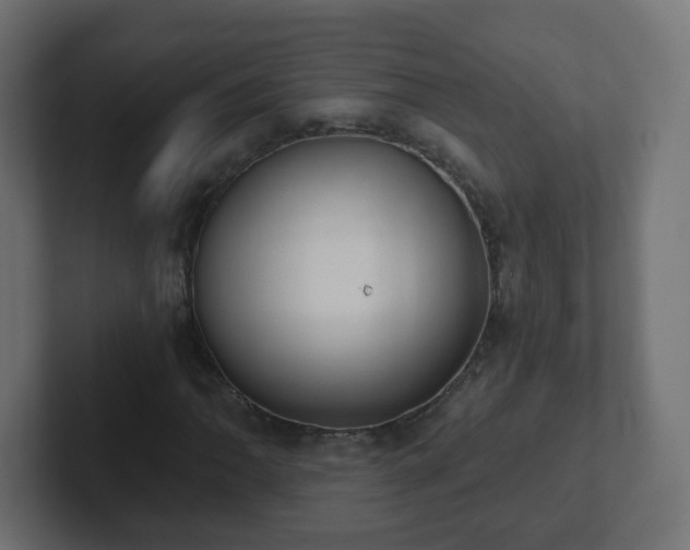 X0000102811062200808251104