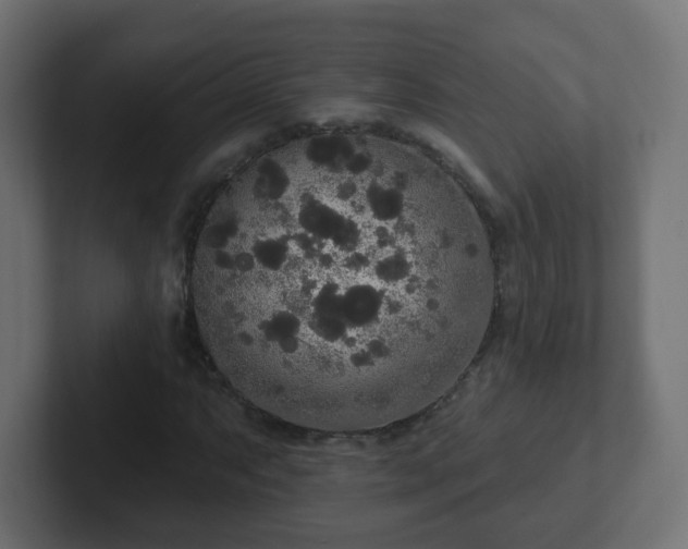 X0000102811063200808251104