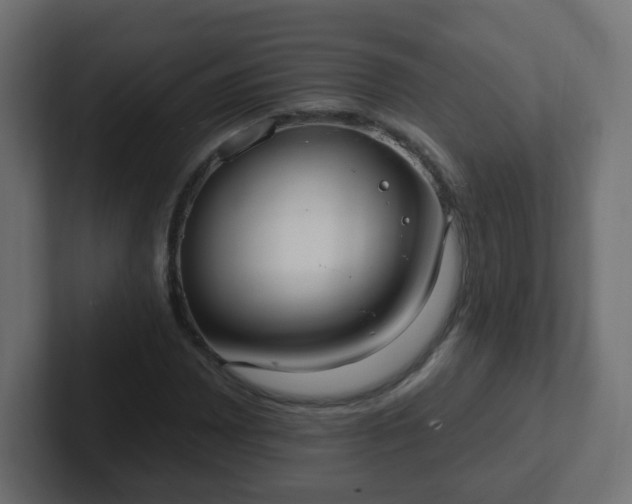 X0000102811065200808251104