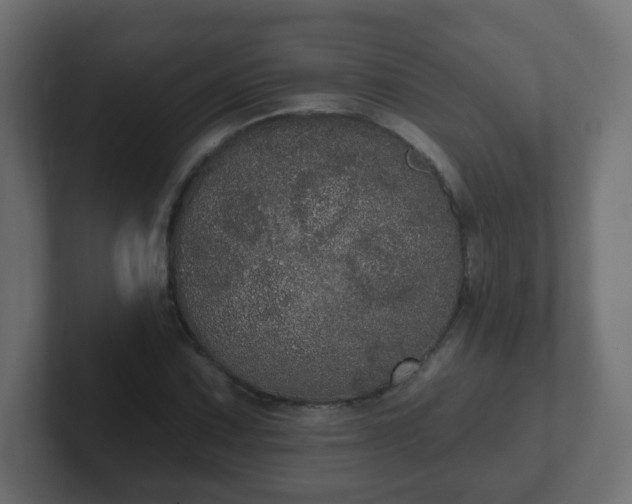 X0000102811067200808251104