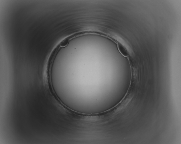 X0000102811068200808251104