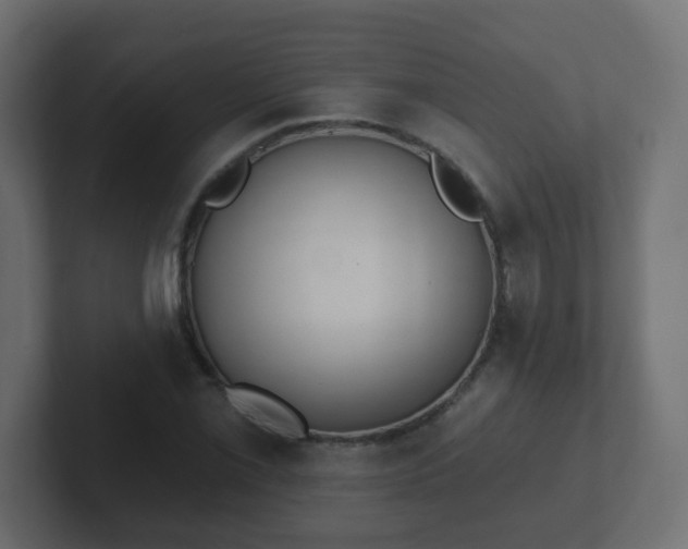 X0000102811069200808251104