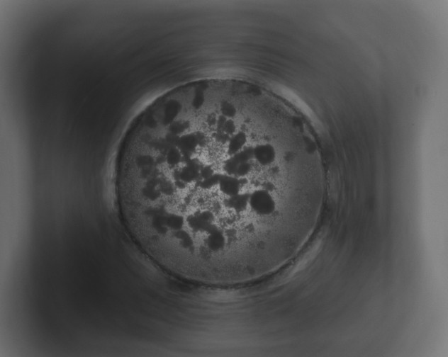 X0000102811071200808251104