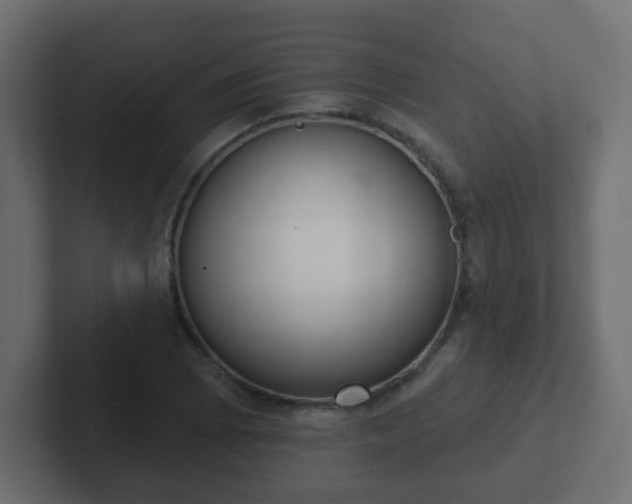 X0000102811073200808251104