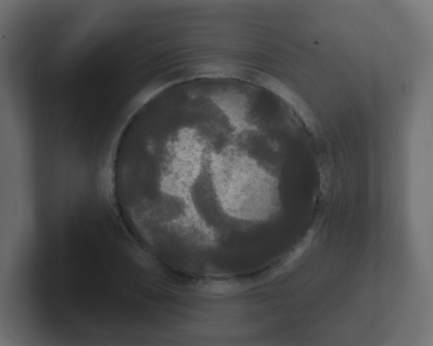 X0000102811074200808251104